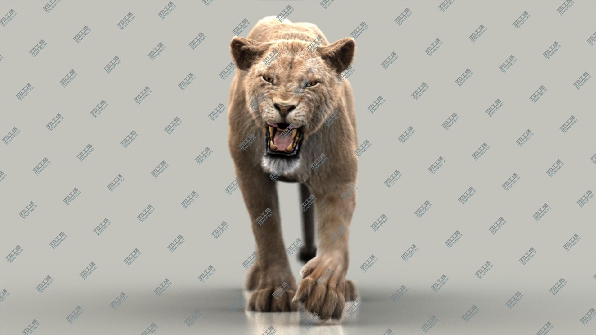 images/goods_img/202104021/3D model Lioness (3) (FUR) (RIGGED)/2.jpg